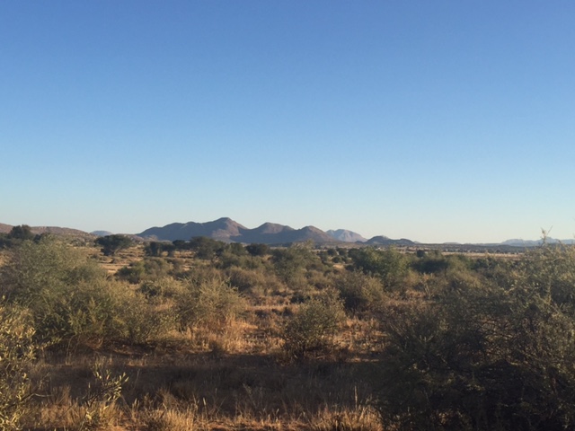 the landscape in Namibia