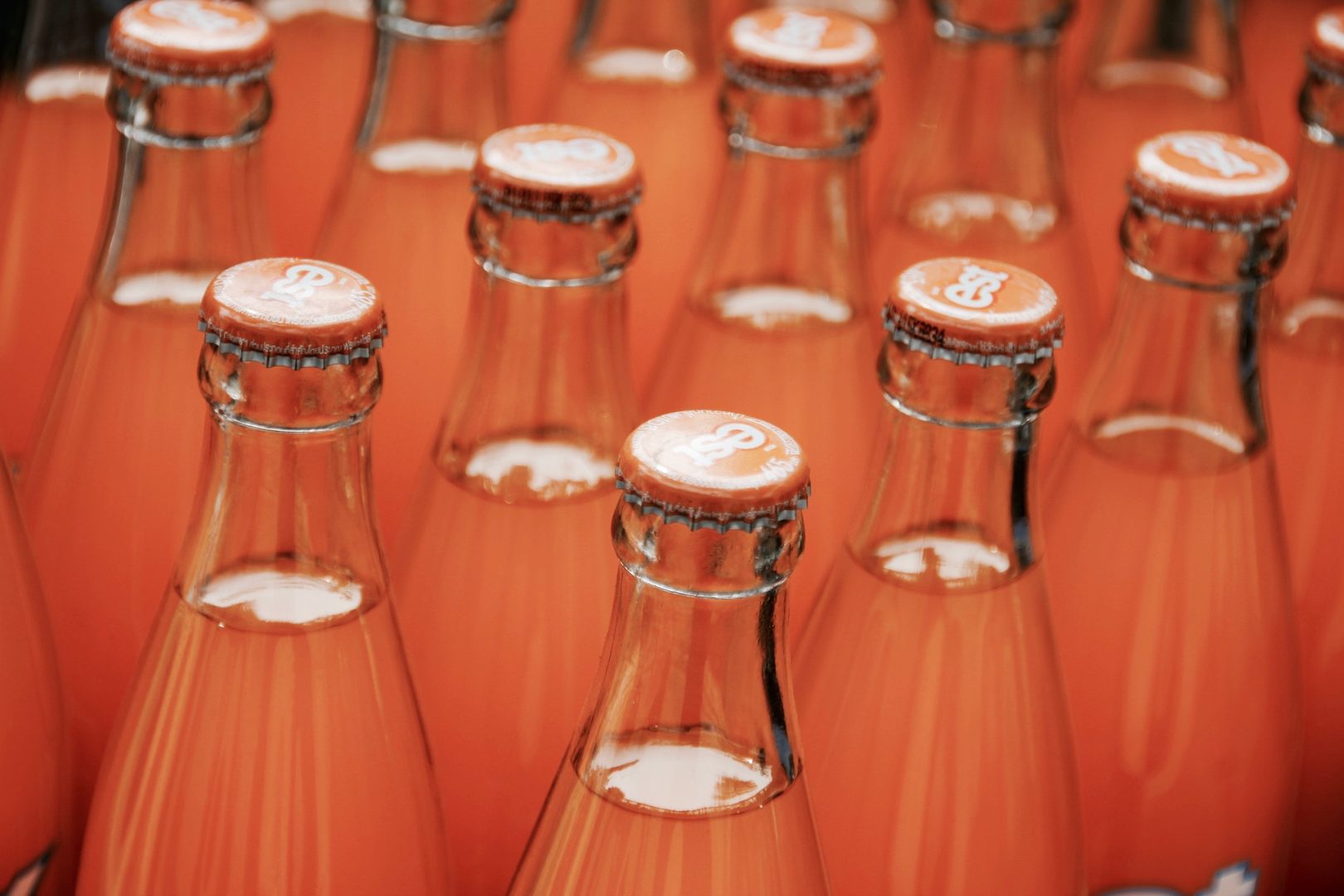 Sustainability in the beverage trade: Reusable Bottles