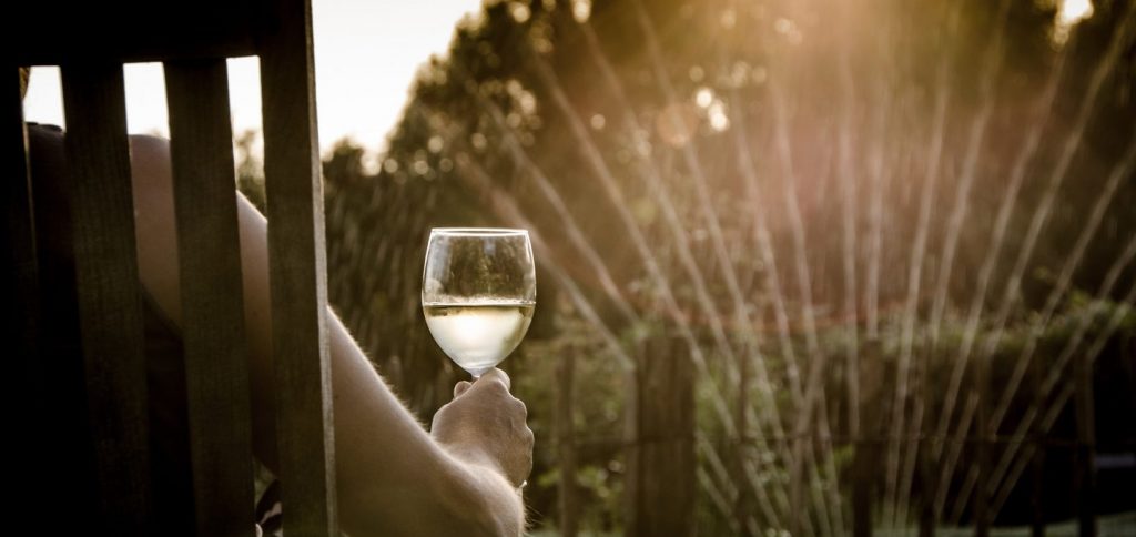 A person drinking a glass of white wine in a garden during the sunset