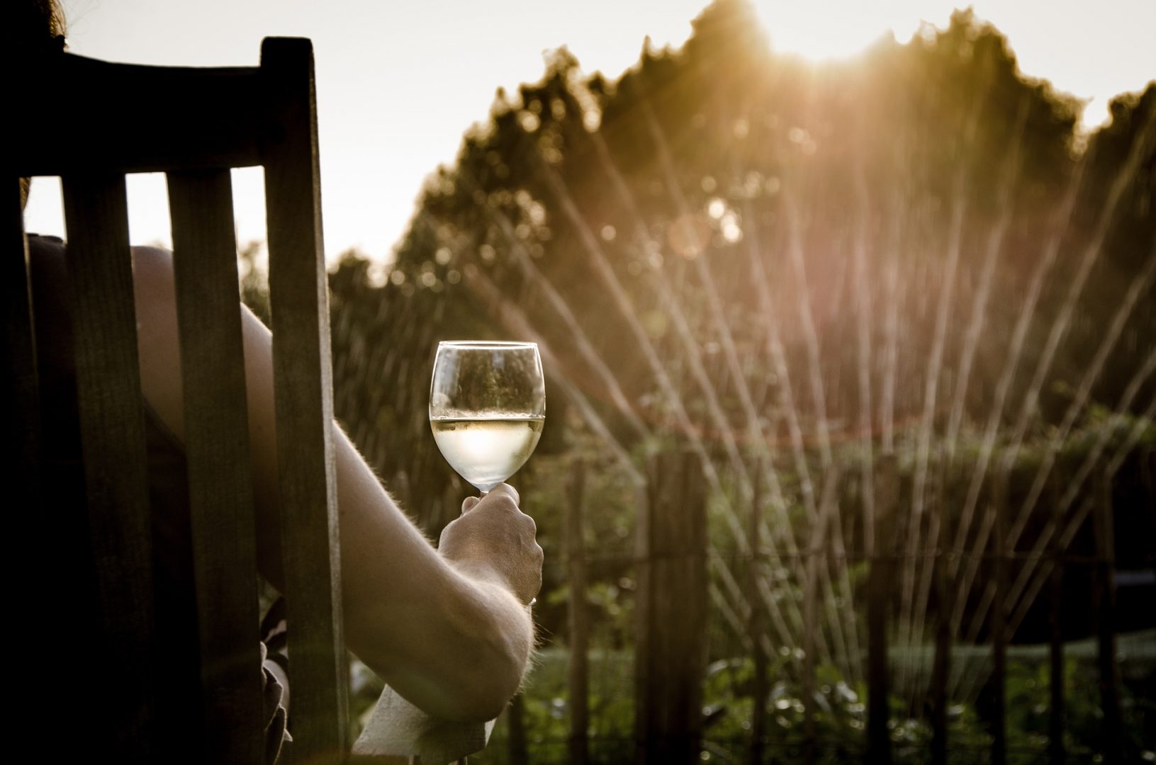 Eine Person trinkt beim Sonnenuntergang Weißwein im Garten