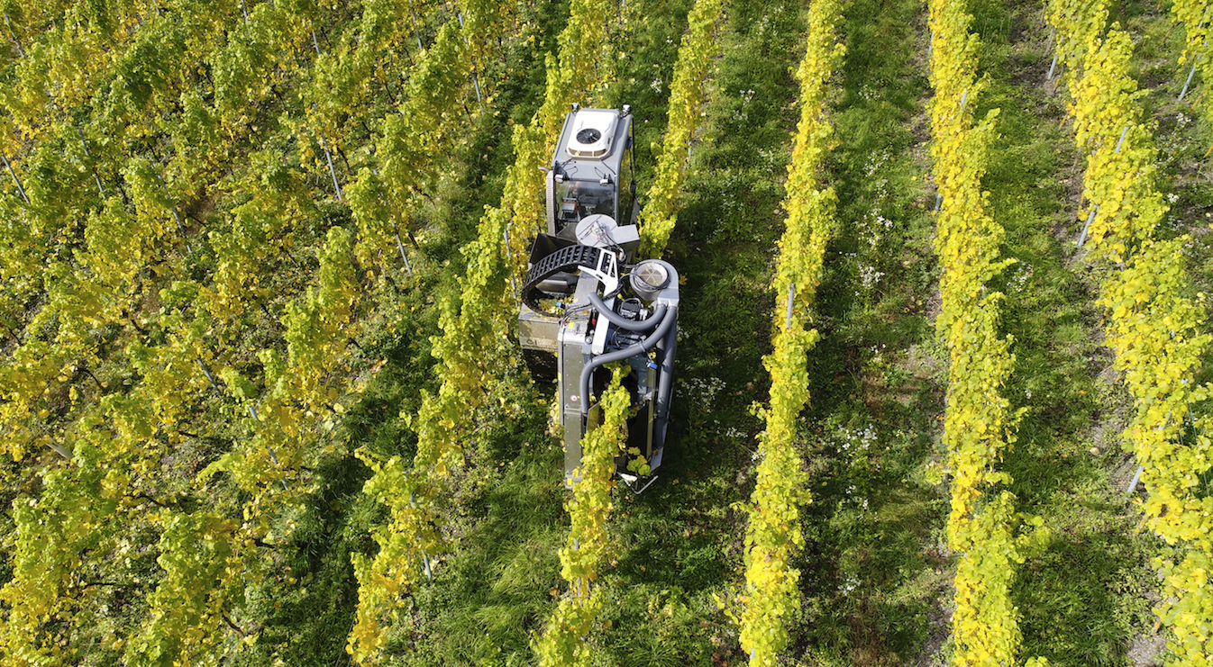 Weinbau in Steillagen von Innovationen gesichert